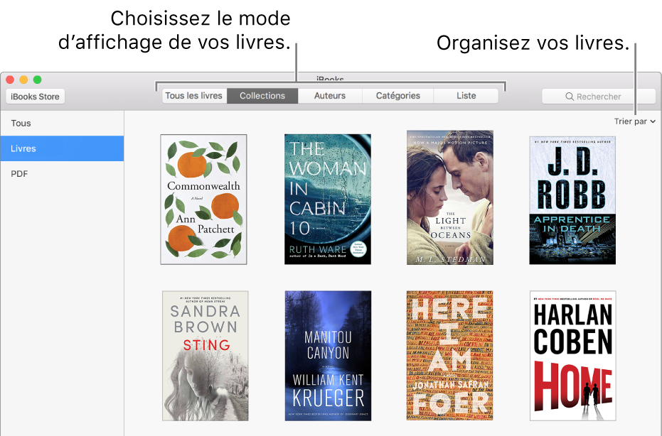 Une collection de livres dans une bibliothèque iBooks.