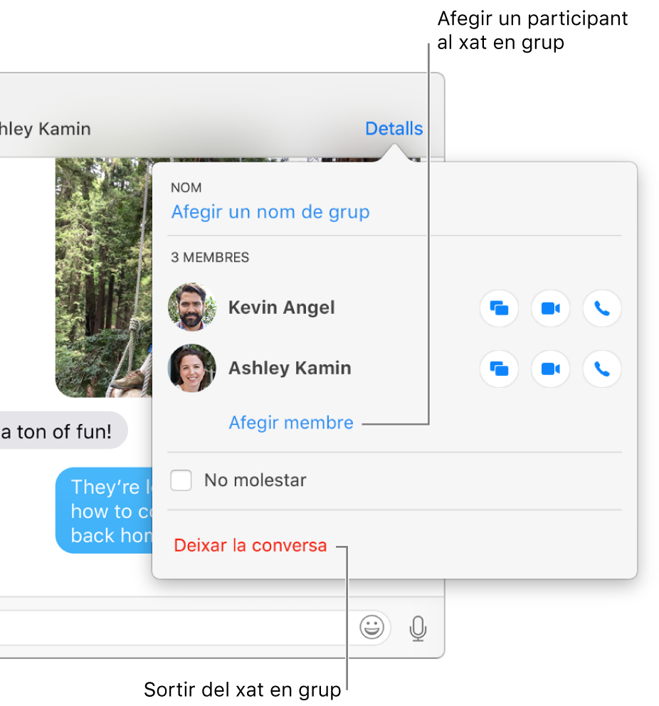 Vista Detalls, que apareix en fer clic a Detalls en una conversa en grup. Es mostra “Afegir membre” sota el nom de l’últim participant de la llista i apareix “Deixar aquesta conversa” a la part inferior del quadre de diàleg.