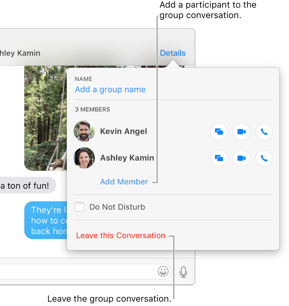 Details view, which appears after you click Details in a group conversation. Add Member appears below the name of the last participant in the list, and Leave this Conversation is at the bottom of the dialog.