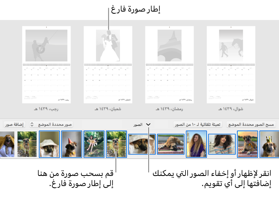 نافذة تطبيق الصور تعرض صفحات التقويم مع وجود منطقة الصور في الجزء السفلي.