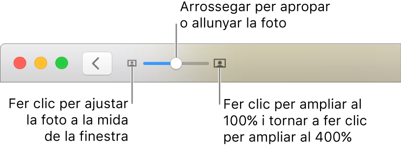 Barra d’eines que mostra els controls de zoom.
