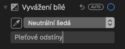 Ovládací prvky Vyvážení bílé na panelu Úpravy