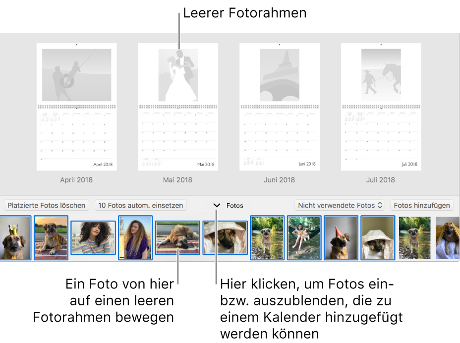 Fenster „Fotos“ mit Seiten eines Kalenders und dem Bereich „Fotos“ unten