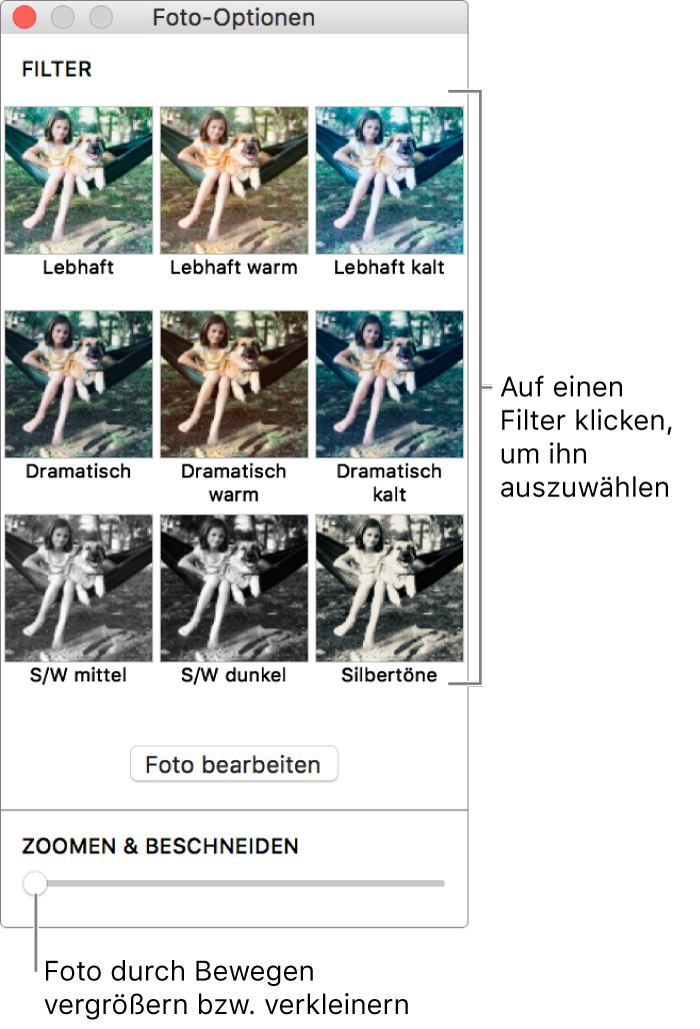 Fenster „Fotooptionen“ mit Regler „Zoomen & Beschneiden“ unten und Effektoptionen oben