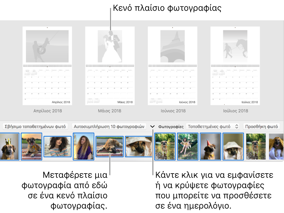Παράθυρο των Φωτογραφιών που εμφανίζει σελίδες ενός ημερολογίου με την περιοχή Φωτογραφιών στο κάτω μέρος.