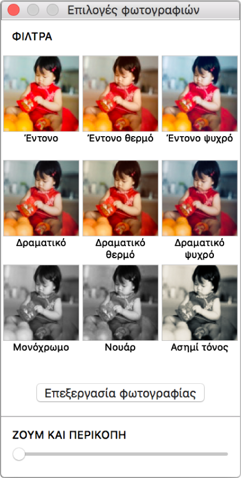 Παράθυρο «Επιλογές φωτογραφιών» με επιλογές περιγράμματος στο πάνω μέρος.