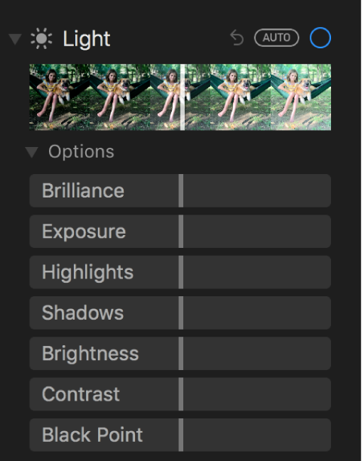 The Light area of the Adjust pane showing sliders for Brilliance, Exposure, Highlights, Shadows, Brightness, Contrast, and Black Point.