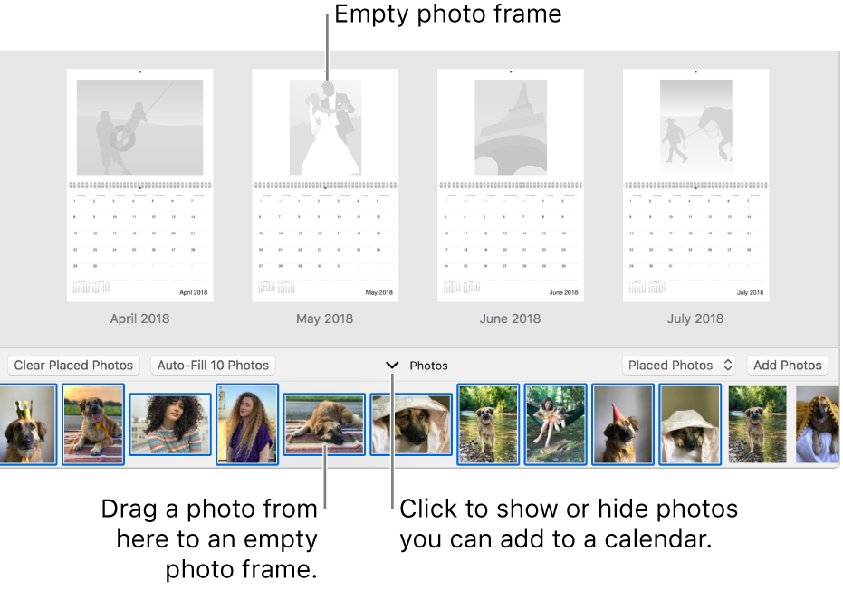 Photos window showing pages of a calendar with Photos area at the bottom.