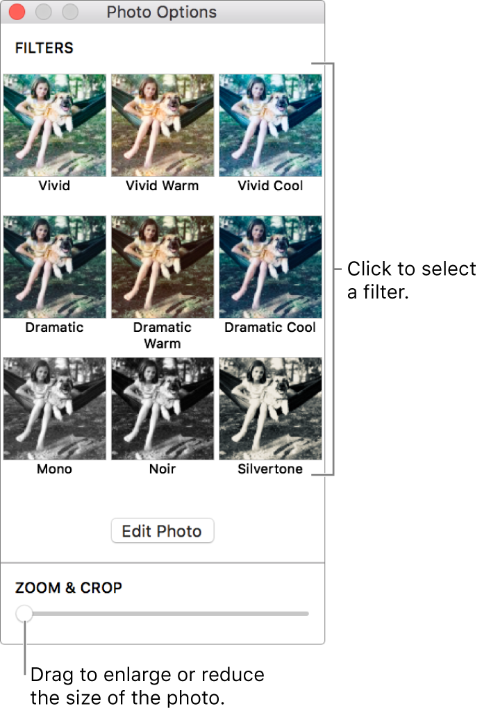 Photo Options window with Zoom & Crop slider at bottom and effects options at the top.