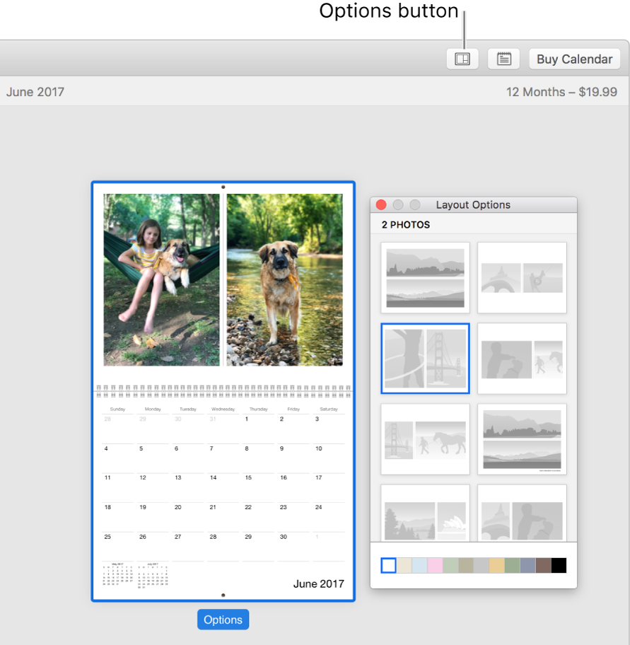 Calendar page at left with Layout Options window at right, showing page layouts.