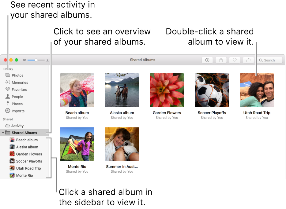 The Shared pane of the Photos window, showing shared albums.