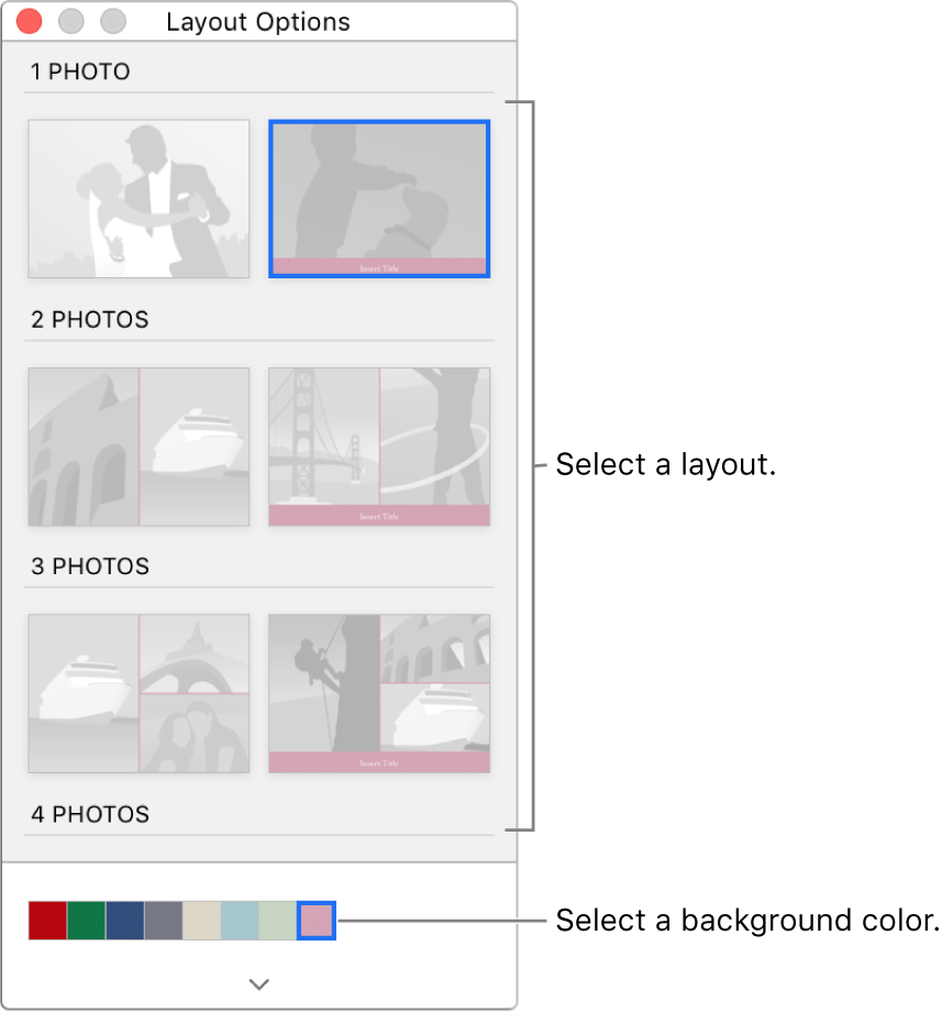 Layout Options window for a card.