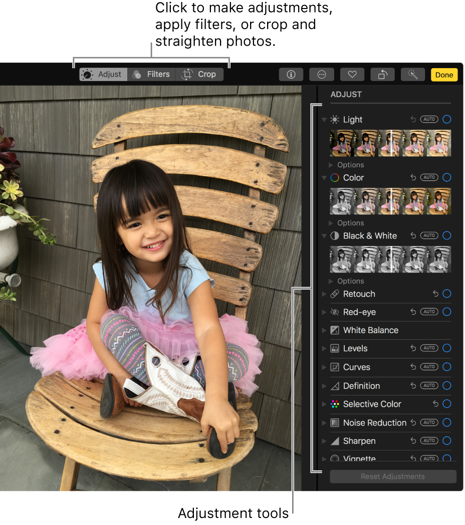 A photo in editing view with editing tools on the right.