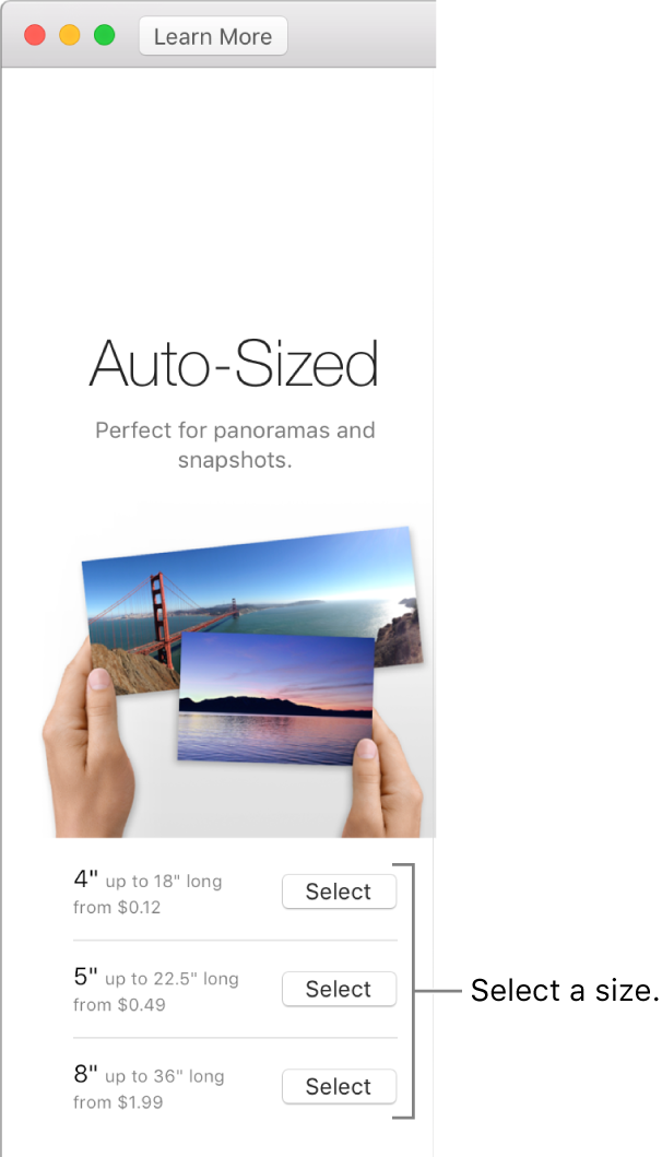 Window showing size options for Auto-Sized print format.