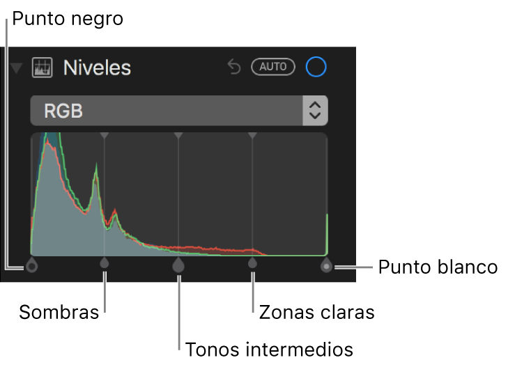 Los controles Niveles junto con el histograma RGB, incluyendo (de izquierda a derecha) punto negro, sombras, tonos medios, zonas claras y punto blanco.