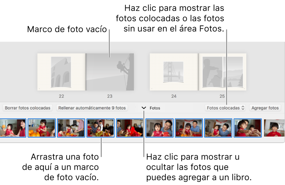 Ventana de Fotos mostrando páginas de un libro con el área Fotos en la parte inferior.