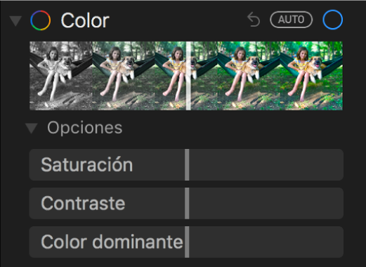 El área Color del panel Ajustar mostrando los reguladores de Saturación, Contraste y “Color dominante”.