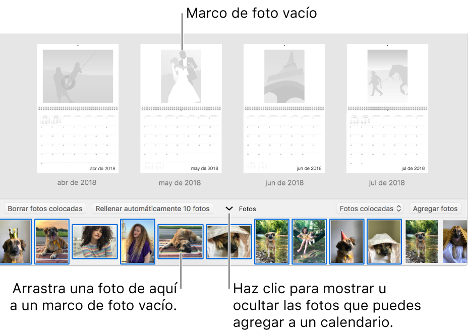 Ventana de Fotos mostrando páginas de un calendario con el área Fotos en la parte inferior.