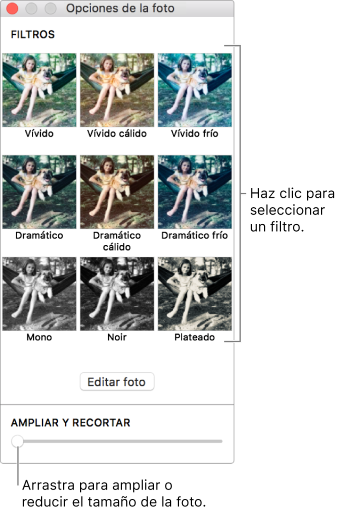 Ventana “Opciones de la foto” con el regulador “Ampliar y recortar” en la parte inferior y opciones de efectos en la parte superior.
