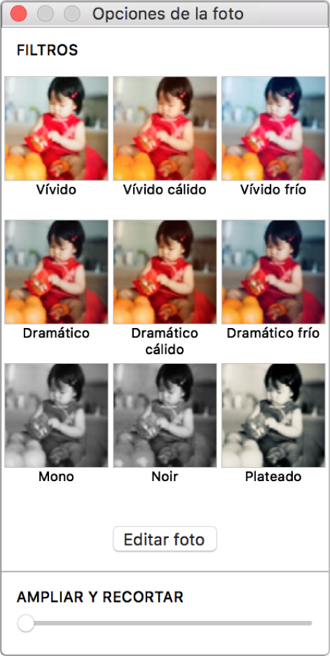 Ventana “Opciones de la foto” con las opciones de borde en la parte superior.