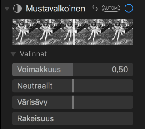 Säädot-paneelin Mustavalkoinen-kohdassa näkyy säätimet intensiteetille, neutraaleille, sävyille ja rakeisuudelle.