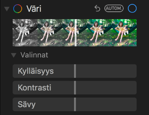 Säädot-paneelin Väri-kohdassa näkyy säätimet kylläisyydelle, kontrastille ja värivirheelle.