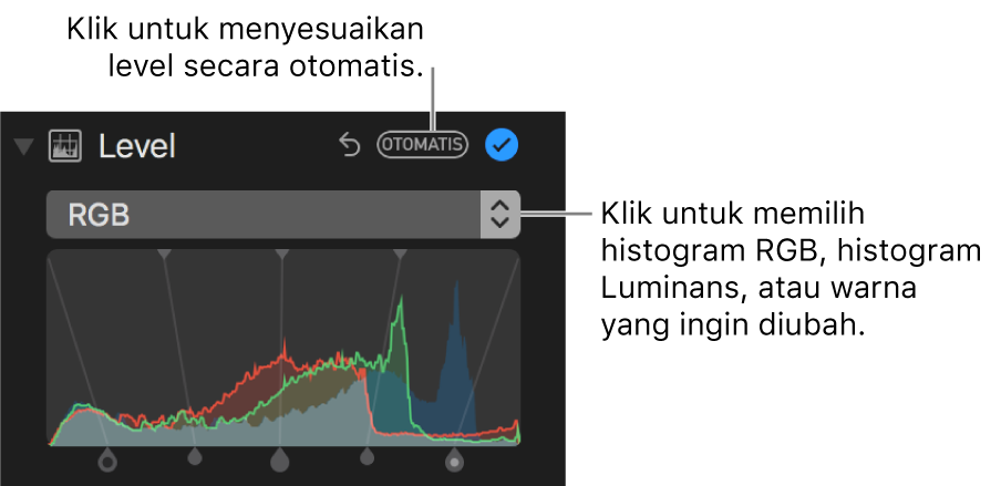 Kontrol tingkat dengan Otomatis di kanan atas.
