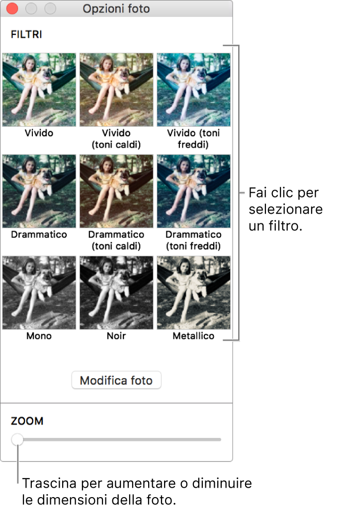 Finestra “Opzioni foto” con cursore Zoom in basso e opzioni degli effetti in alto.