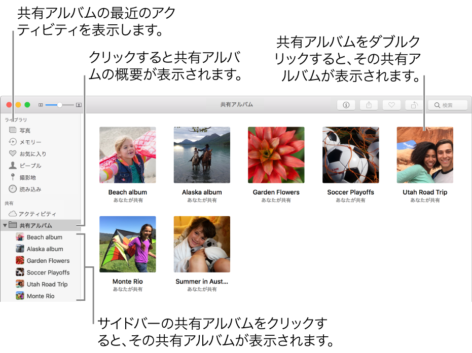 共有アルバムが表示されている、「写真」ウインドウの「共有」パネル。