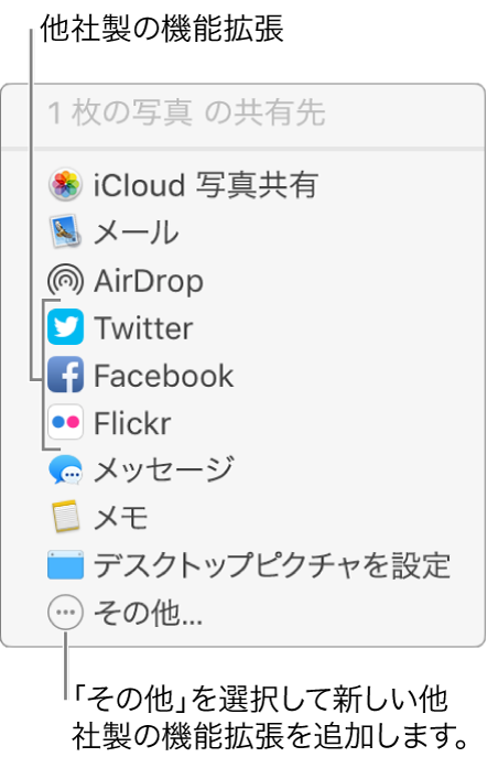 Flickr などの他社製の機能拡張が表示されている「共有」メニュー。