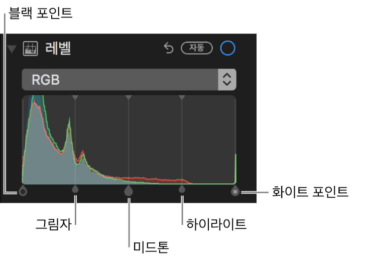 블랙 포인트, 그림자, 중간톤, 하이라이트 및 화이트 포인트(왼쪽에서 오른쪽 순서)를 포함하는 RGB 히스토그램을 따라 있는 레벨 제어기.