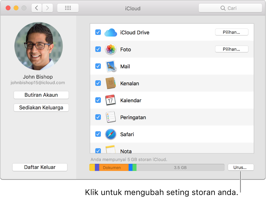 Anak tetingkap iCloud dari Keutamaan Sistem.