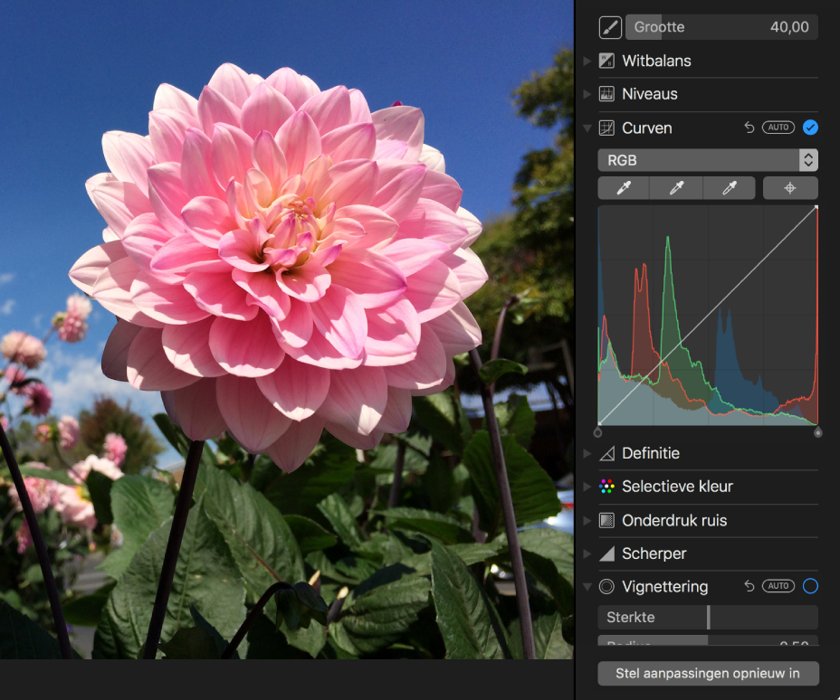 Foto vóór het gebruik van de aanpassing 'Curven'.