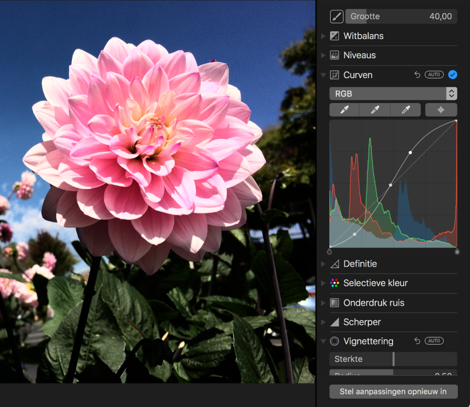 Foto na het gebruik van de aanpassing 'Curven'.