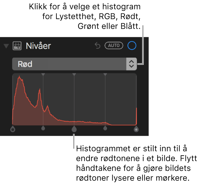 Nivåkontroller og histogram for å endre rødfarger i et bilde.