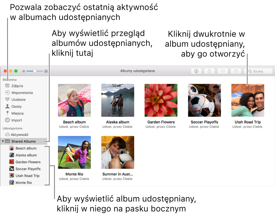 Panel Udostępnione w oknie aplikacji Zdjęcia zawierający albumy udostępniane.