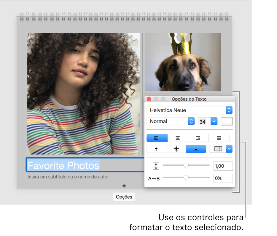 Texto selecionado sob a foto e janela “Opções do Texto” à direita.