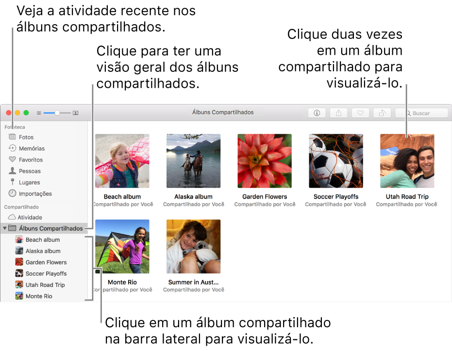 Painel Compartilhado da janela do Fotos exibindo álbuns compartilhados.