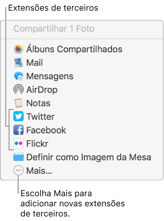 Menu Compartilhar exibindo extensões de terceiros, como Flickr.