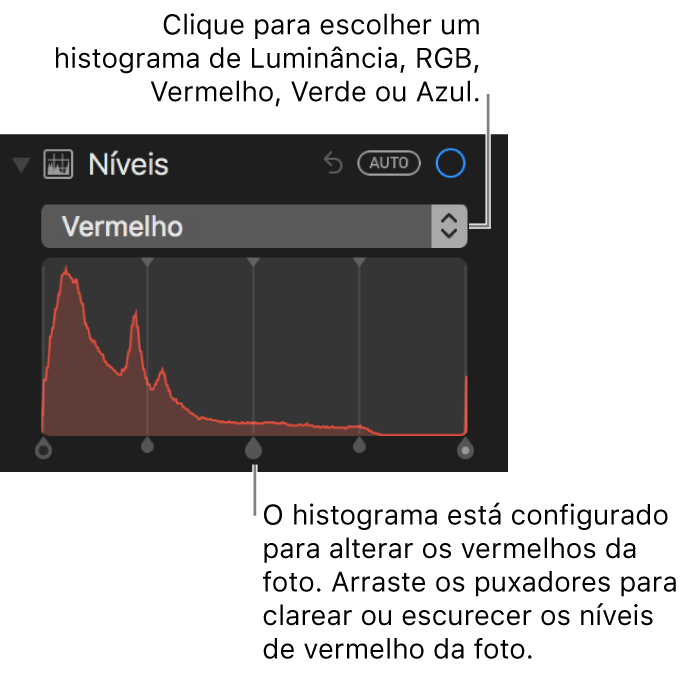 Controles de nível e histograma para alterar os vermelhos de uma foto.