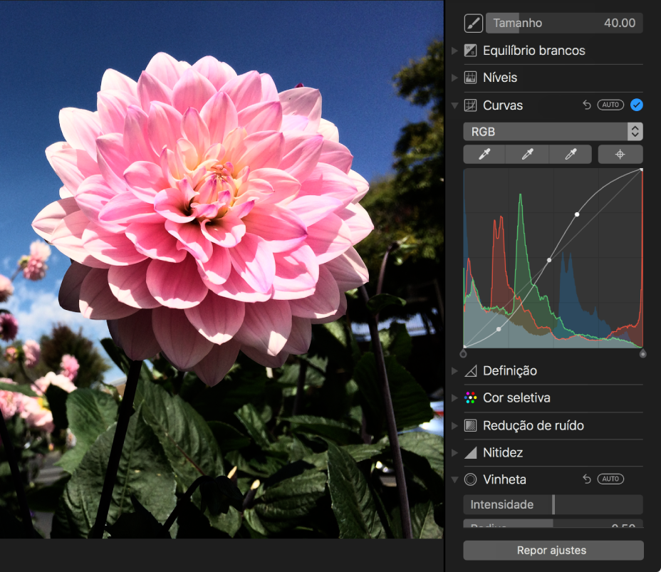 Fotografia depois dos ajustes das curvas