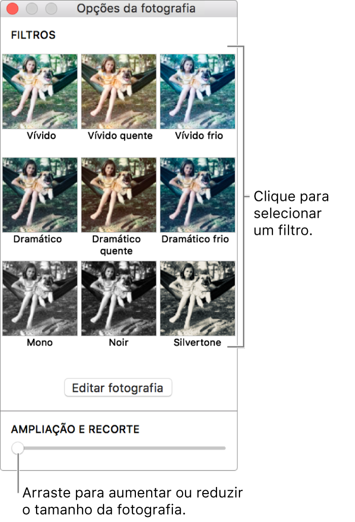 Janela “Opções da fotografia” com o nivelador “Ampliação e recorte” visível na parte inferior e as opções dos efeitos na parte superior.