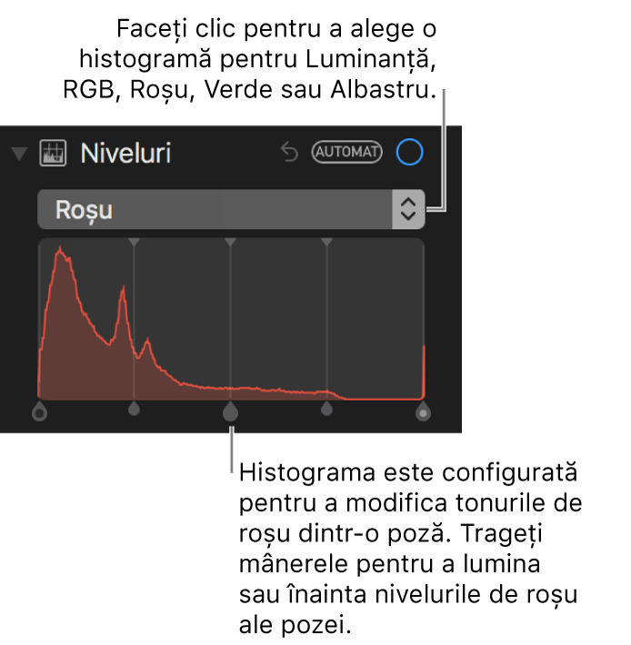 Comenzile pentru niveluri și histograma pentru modificarea tonurilor de roșu dintr-o poză.