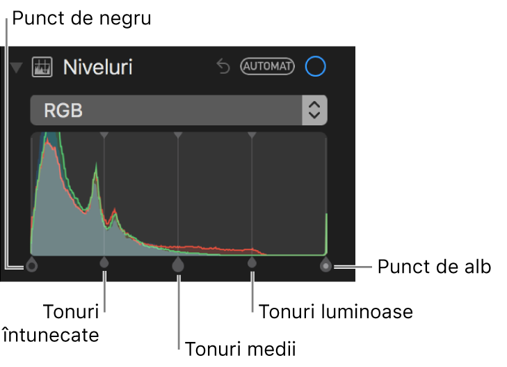 Comenzile nivelurilor din histograma RGB, inclusiv (de la stânga la dreapta) punctul de negru, tonurile întunecate, medii și luminoase și punctul de alb.