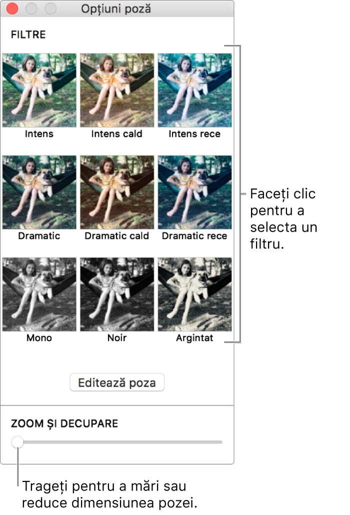 Fereastra Opțiuni poză cu glisorul Zoom și decupare în partea de jos și opțiunile pentru efecte în partea de sus.