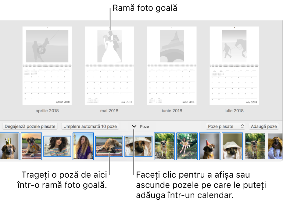 Fereastra Poze prezentând paginile unui calendar, cu zona Poze în partea de jos.