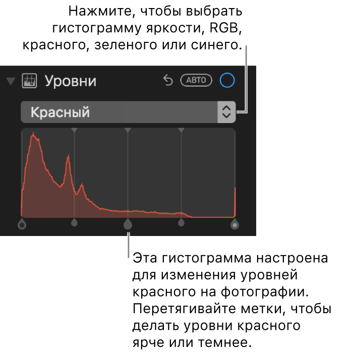 Элементы управления уровнями и гистограмма для изменения красных оттенков на фотографии.