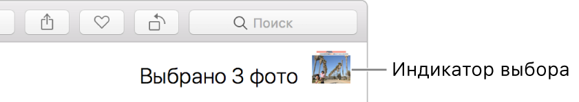 Индикатор выбора показывает, что выбрано три фотографии.