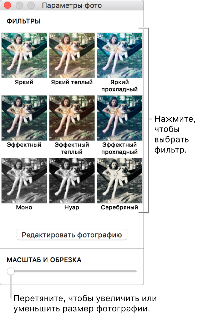 Окно «Параметры фото» с бегунком «Масштаб и обрезка» внизу и параметрами эффектов вверху.