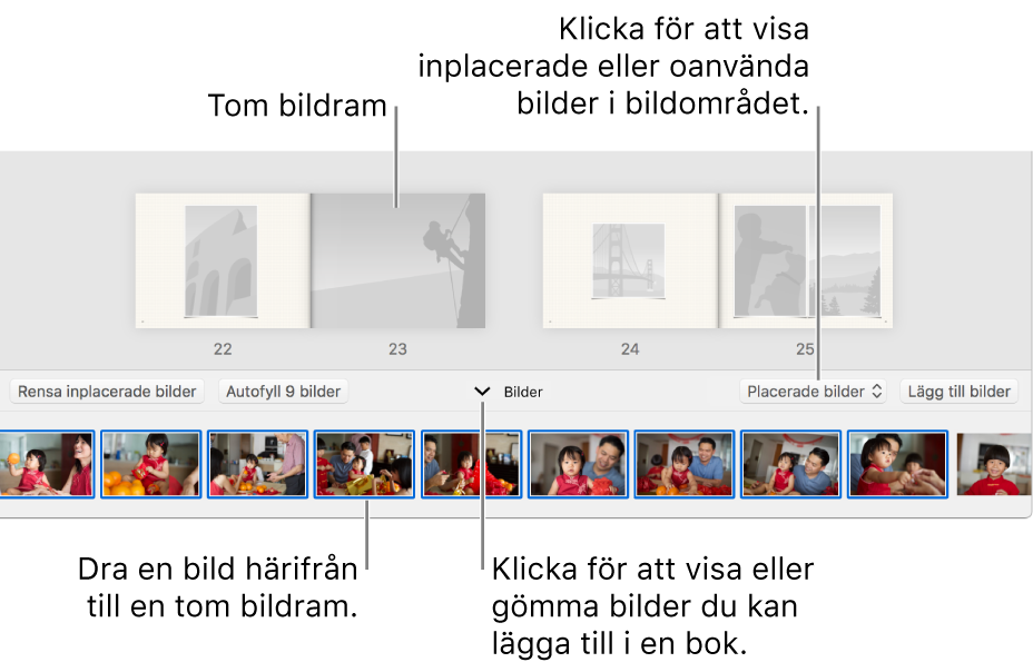 Bilder-fönster som visar sidor i en bok med Bilder-området i nederkanten.